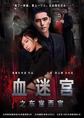 血迷宫之东宫西宫海报