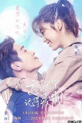忘记你,记得爱情海报