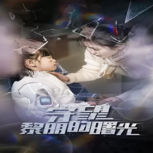 守望lm的曙光海报