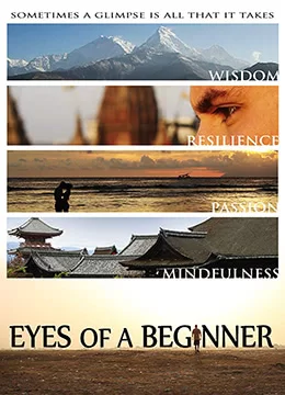 重获光明之旅海报