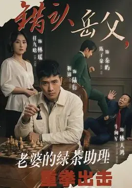 错认岳父,老婆的绿茶助理重拳出击海报