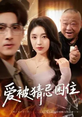 爱被猜忌困住海报