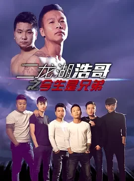 二龙湖浩哥之今生是兄弟海报