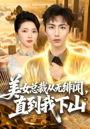 美女总裁从无绯闻,直到我下山海报