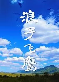 浪子飞鹰海报