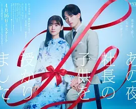 那一夜,我怀了社长的孩子海报