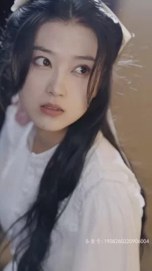 季夫人不好惹海报