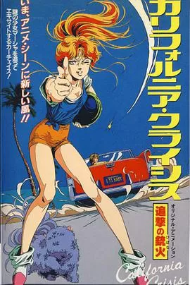 加州危机:追击的枪火海报