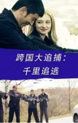 跨国大追捕:千里追逃海报