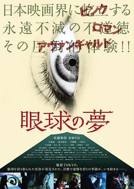 眼球的梦海报