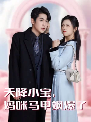 天降小宝,妈咪马甲飒爆了海报