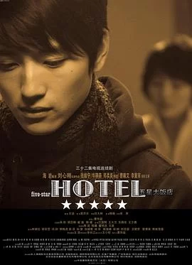 五星大饭店海报