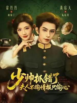 少帅抓错了,夫人不偷情报只偷心海报