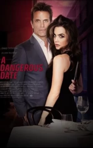 危险约会海报