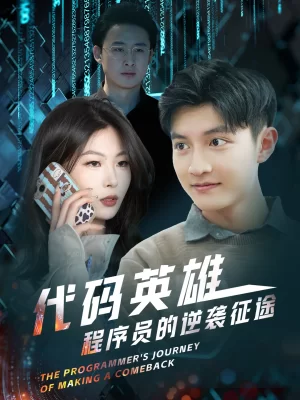 代码英雄程序员的逆袭征途海报