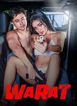 权利的玩物海报
