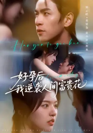 好孕后我逆袭人间富贵花(夜先生的小欢喜)海报