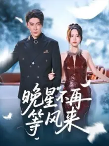 晚星不再等风来海报