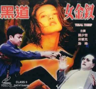 黑道女金钗海报