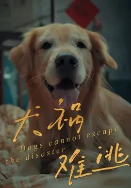 犬祸难逃海报