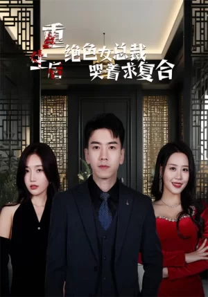 重生后绝色女总裁哭着求复合海报