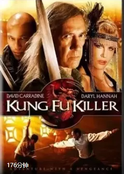 功夫杀手海报