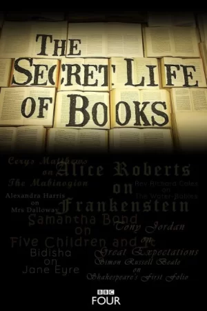 书谜第一季海报