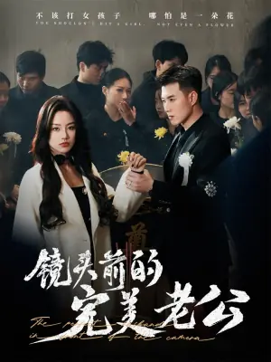 镜头前的完美老公海报