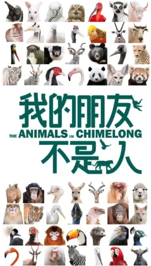 我的朋友不是人海报