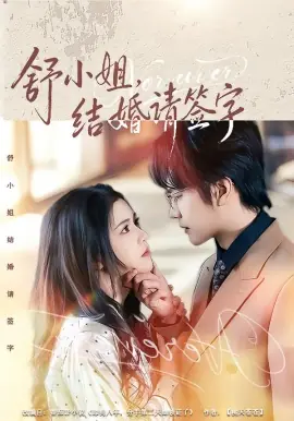 舒小姐,结婚请签字海报