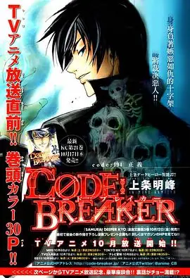 法外制裁者OAD2海报