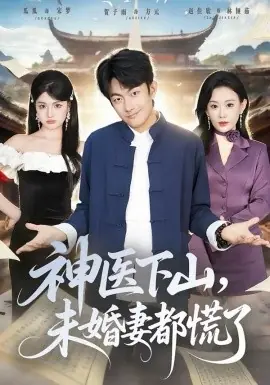 神医下山,未婚妻都慌了海报