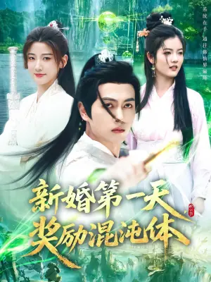 新婚第一天,奖励混沌体海报
