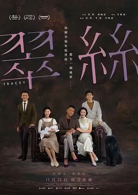 翠丝[电影解说]海报