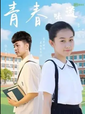 青春的味道海报