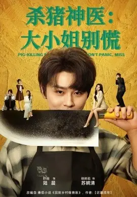 杀猪神医,大小姐别慌海报