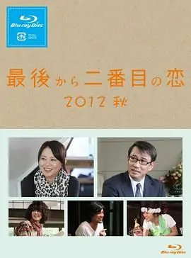 倒数第二次恋爱2012秋SP海报
