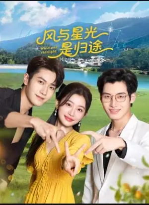 风与星光是归途海报