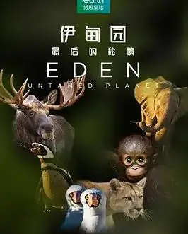 伊甸园:最后的秘境海报