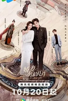 娇妻芳龄几许海报