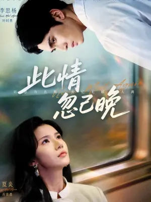 此情忽已晚海报