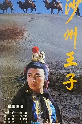 沙州王子海报