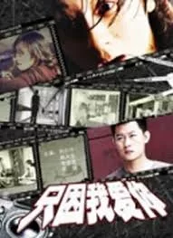 只因我爱你海报