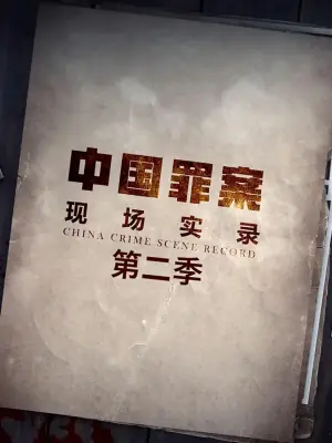 罪案现场实录第二季海报