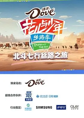 北斗七行丝路之旅海报