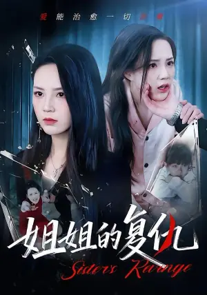 姐姐的复仇海报