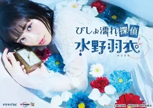 湿身侦探水野羽衣海报