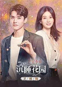 沉睡花园卫视版海报