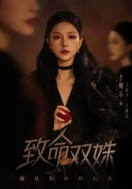 致命双姝:她从精神病院来海报