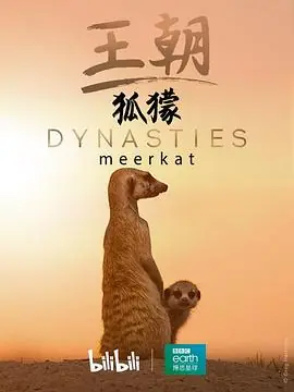 王朝:狐獴特辑海报